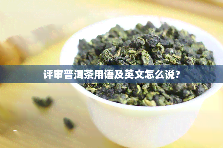 评审普洱茶用语及英文怎么说？