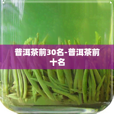 普洱茶前30名-普洱茶前十名