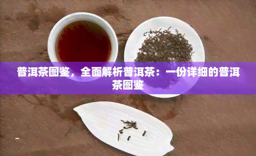 普洱茶图鉴，全面解析普洱茶：一份详细的普洱茶图鉴