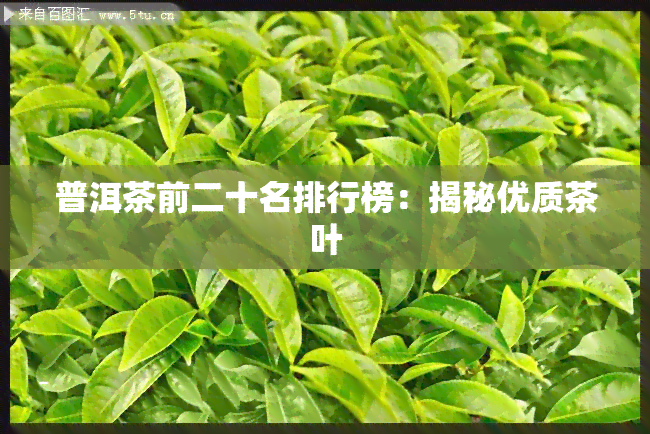 普洱茶前二十名排行榜：揭秘优质茶叶