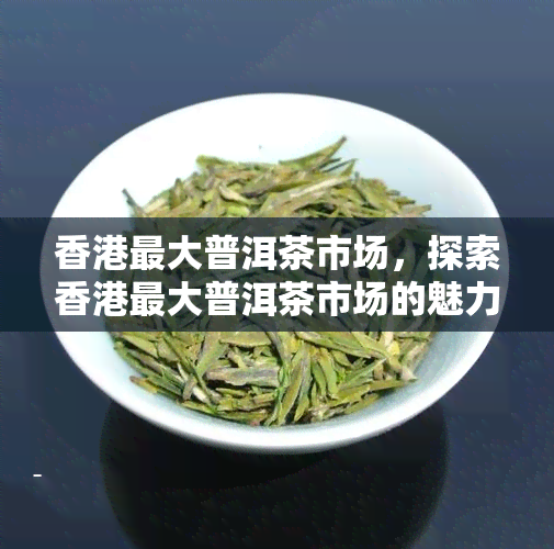 更大普洱茶市场，探索更大普洱茶市场的魅力与特色