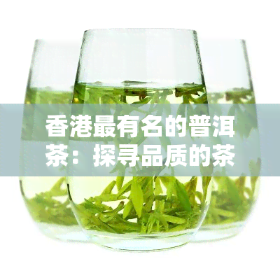 最有名的普洱茶：探寻品质的茶叶源头