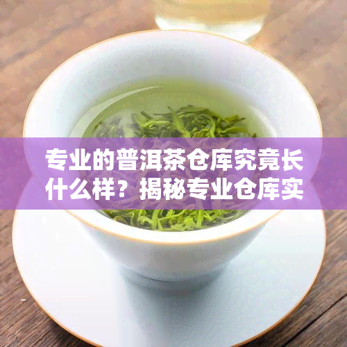 专业的普洱茶仓库究竟长什么样？揭秘专业仓库实拍图