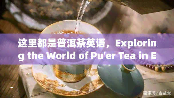 这里都是普洱茶英语，Exploring the World of Pu'er Tea in English: A Comprehensive Guide