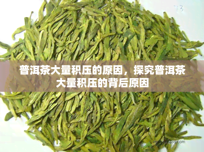 普洱茶大量积压的原因，探究普洱茶大量积压的背后原因