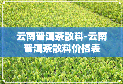 云南普洱茶散料-云南普洱茶散料价格表