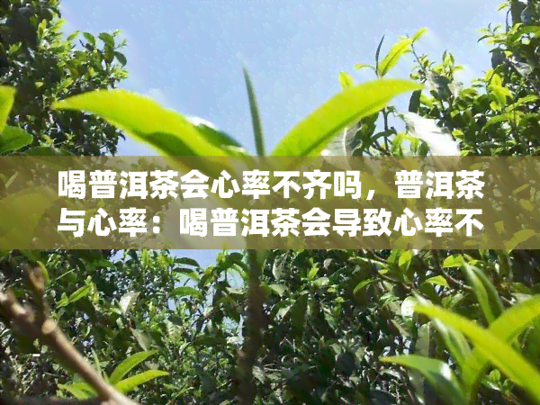 喝普洱茶会心率不齐吗，普洱茶与心率：喝普洱茶会导致心率不齐吗？