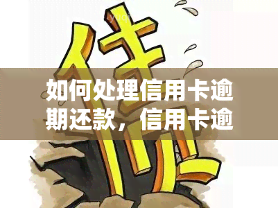 如何处理信用卡逾期还款，信用卡逾期还款怎么办？这里有解决方案！