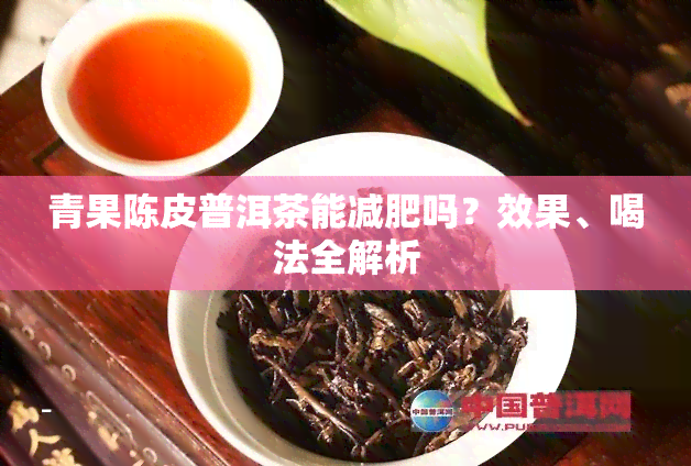 青果陈皮普洱茶能减肥吗？效果、喝法全解析