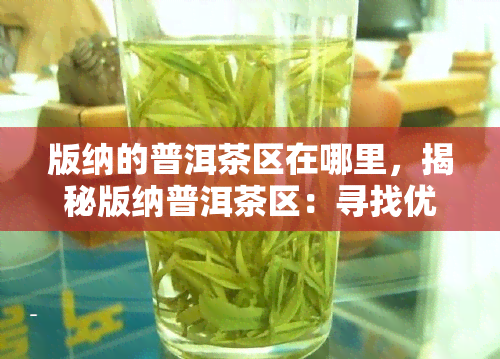 版纳的普洱茶区在哪里，揭秘版纳普洱茶区：寻找优质茶叶的神秘之地