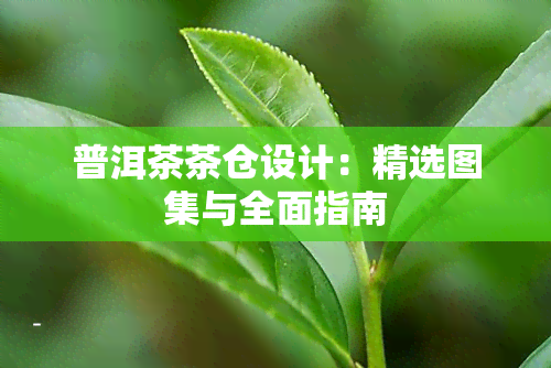 普洱茶茶仓设计：精选图集与全面指南