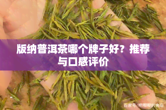 版纳普洱茶哪个牌子好？推荐与口感评价