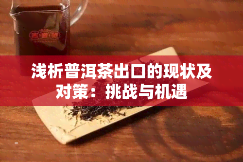 浅析普洱茶出口的现状及对策：挑战与机遇