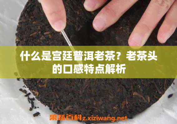 什么是宫廷普洱老茶？老茶头的口感特点解析