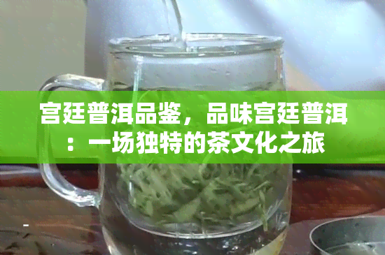 宫廷普洱品鉴，品味宫廷普洱：一场独特的茶文化之旅