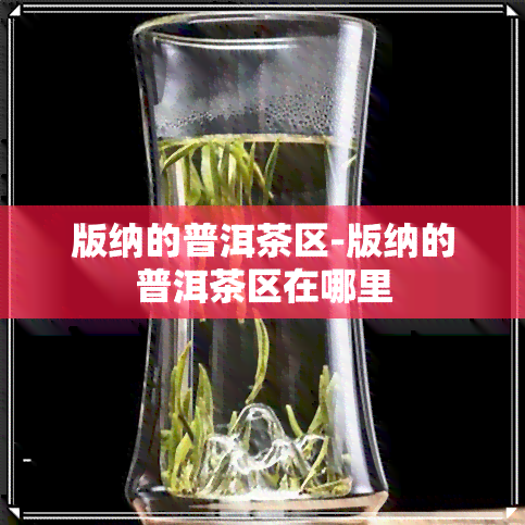 版纳的普洱茶区-版纳的普洱茶区在哪里