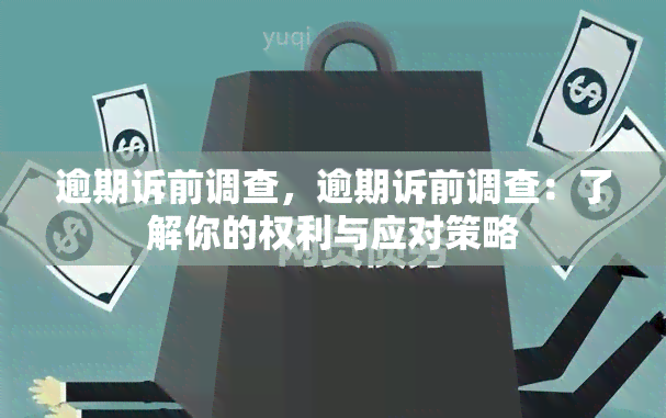 逾期诉前调查，逾期诉前调查：了解你的权利与应对策略