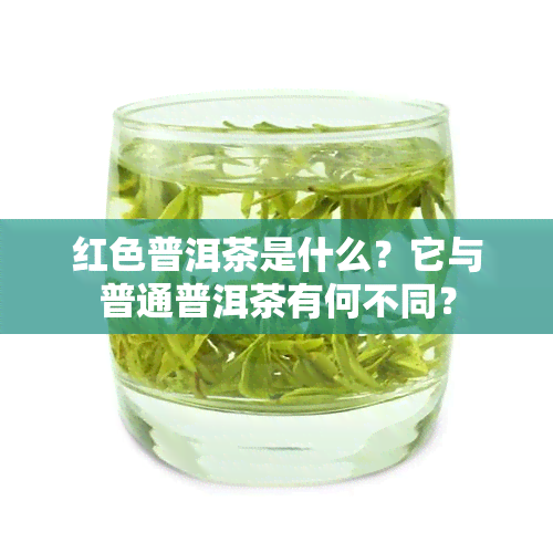 红色普洱茶是什么？它与普通普洱茶有何不同？