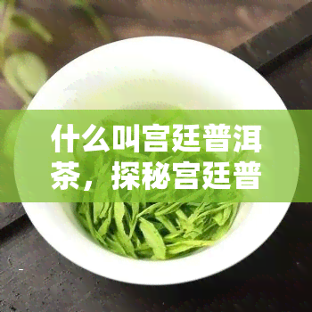 什么叫宫廷普洱茶，探秘宫廷普洱茶：你不知道的茶叶故事