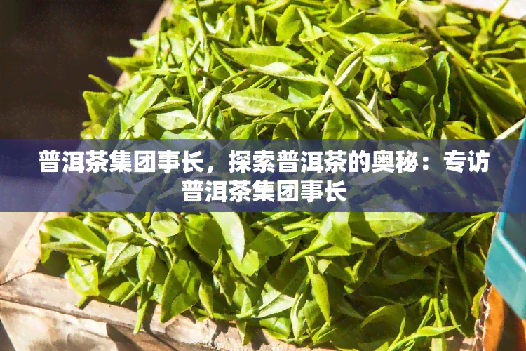 普洱茶集团事长，探索普洱茶的奥秘：专访普洱茶集团事长