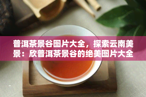 普洱茶景谷图片大全，探索云南美景：欣普洱茶景谷的绝美图片大全