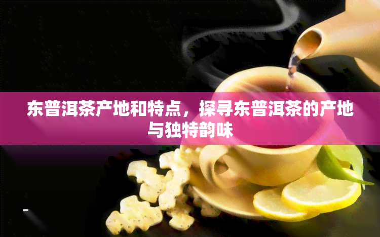 东普洱茶产地和特点，探寻东普洱茶的产地与独特韵味