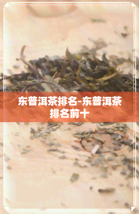 东普洱茶排名-东普洱茶排名前十