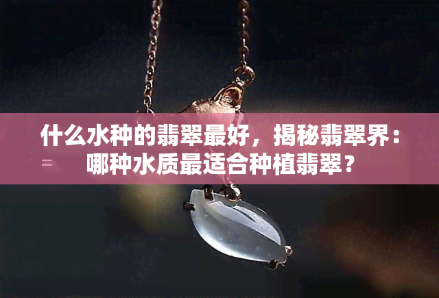 什么水种的翡翠更好，揭秘翡翠界：哪种水质最适合种植翡翠？