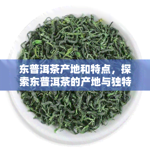 东普洱茶产地和特点，探索东普洱茶的产地与独特特点