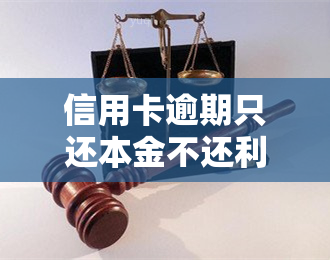 信用卡逾期只还本金不还利息：后果严重，需谨处理