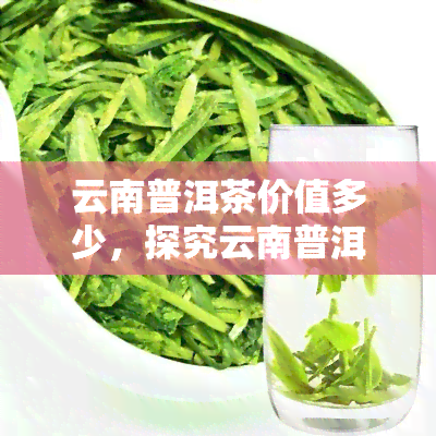 云南普洱茶价值多少，探究云南普洱茶的真正价值