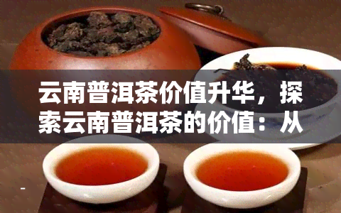 云南普洱茶价值升华，探索云南普洱茶的价值：从原料到文化的升华