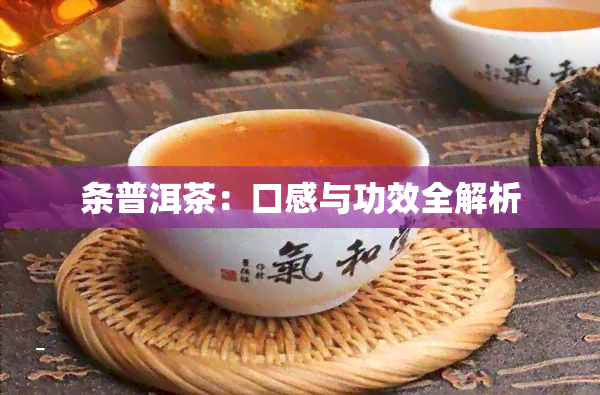 条普洱茶：口感与功效全解析