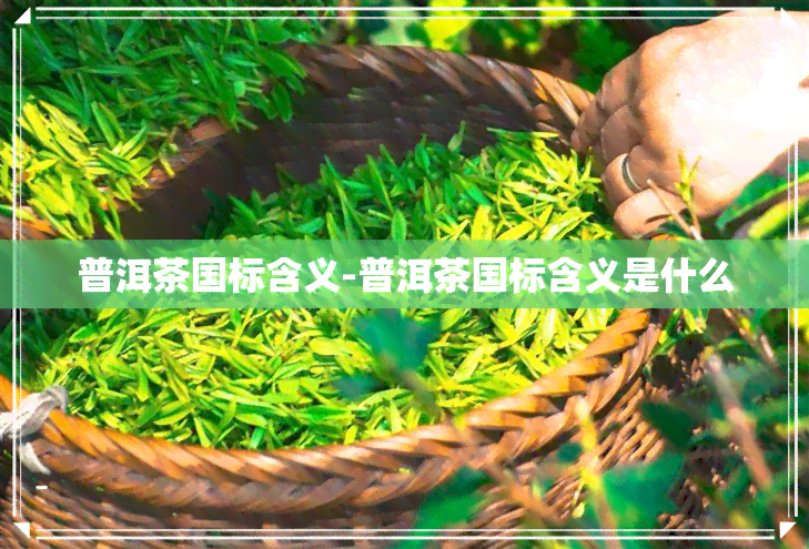 普洱茶国标含义-普洱茶国标含义是什么