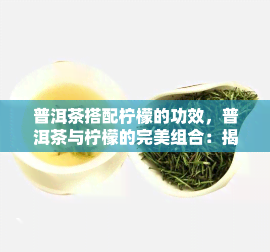 普洱茶搭配柠檬的功效，普洱茶与柠檬的完美组合：揭示它们的独特功效