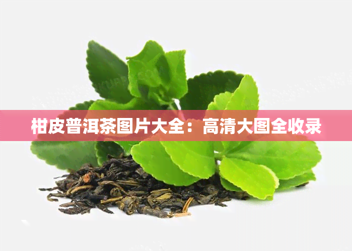 柑皮普洱茶图片大全：高清大图全收录