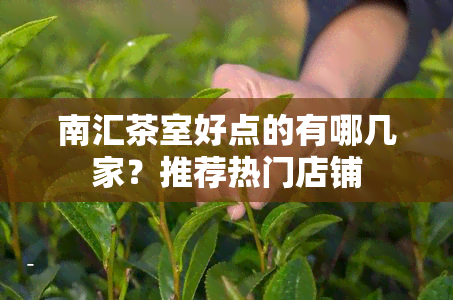 南汇茶室好点的有哪几家？推荐热门店铺