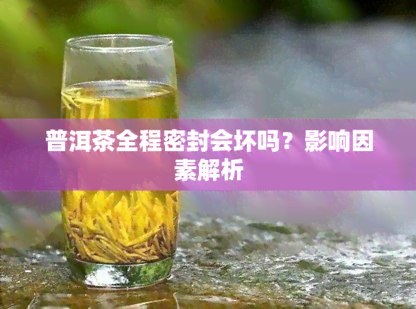 普洱茶全程密封会坏吗？影响因素解析