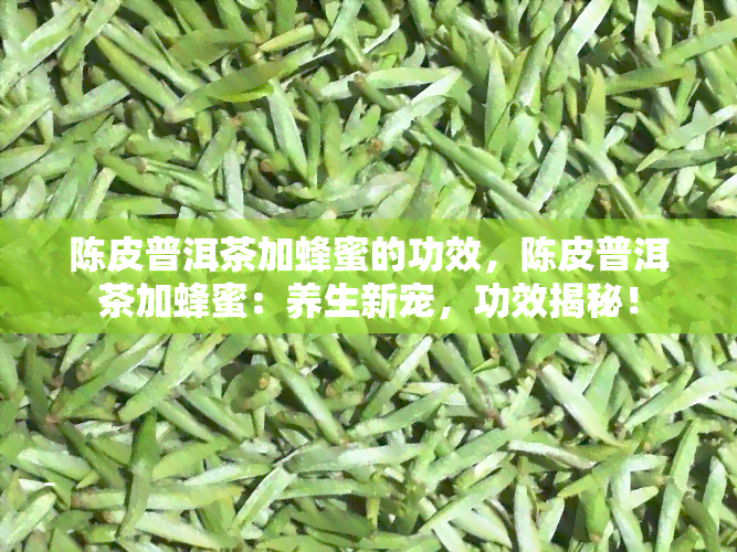 陈皮普洱茶加蜂蜜的功效，陈皮普洱茶加蜂蜜：养生新宠，功效揭秘！