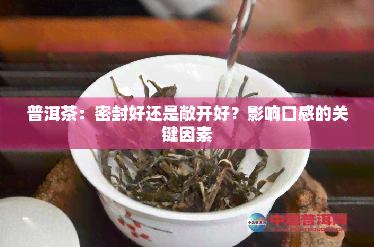 普洱茶：密封好还是敞开好？影响口感的关键因素