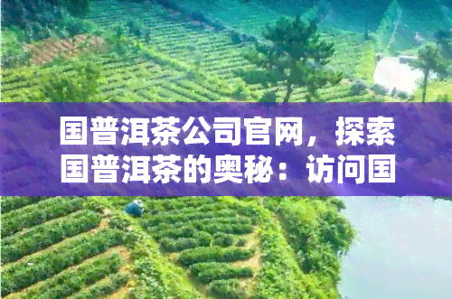 国普洱茶公司官网，探索国普洱茶的奥秘：访问国普洱茶公司官网