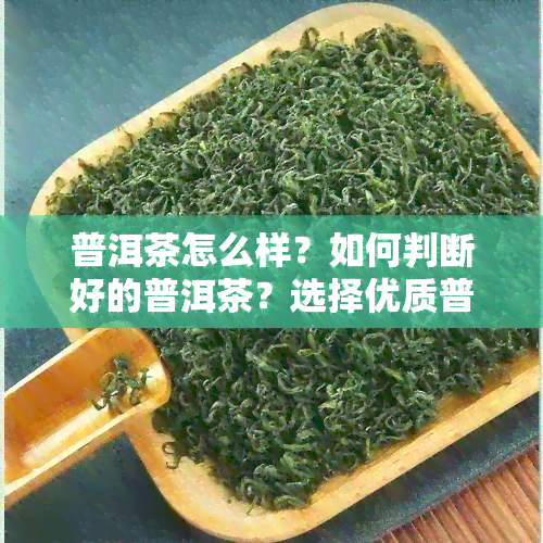 普洱茶怎么样？如何判断好的普洱茶？选择优质普洱茶的方法