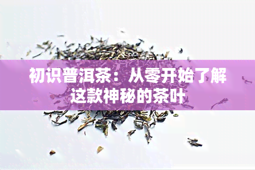 初识普洱茶：从零开始了解这款神秘的茶叶