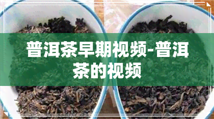 普洱茶早期视频-普洱茶的视频