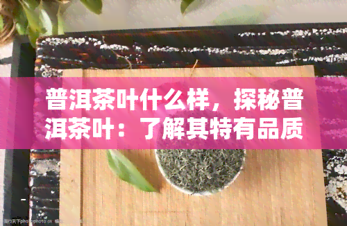 普洱茶叶什么样，探秘普洱茶叶：了解其特有品质与制作工艺