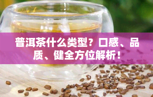 普洱茶什么类型？口感、品质、健全方位解析！