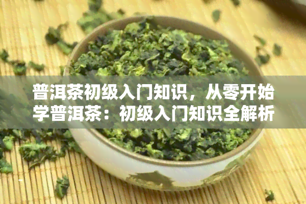 普洱茶初级入门知识，从零开始学普洱茶：初级入门知识全解析