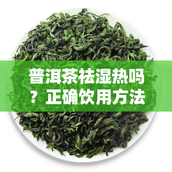 普洱茶祛湿热吗？正确饮用方法与效果解析