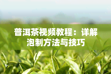 普洱茶视频教程：详解泡制方法与技巧