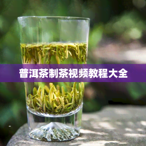 普洱茶制茶视频教程大全